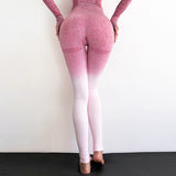 Workout Leggings Sporting Women Fitness Seamless Leggings High Waist Workout Leggings Sporting Activewear Legging Tummy Control Jegging Womens Clothing