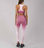 Workout Leggings Sporting Women Fitness Seamless Leggings High Waist Workout Leggings Sporting Activewear Legging Tummy Control Jegging Womens Clothing
