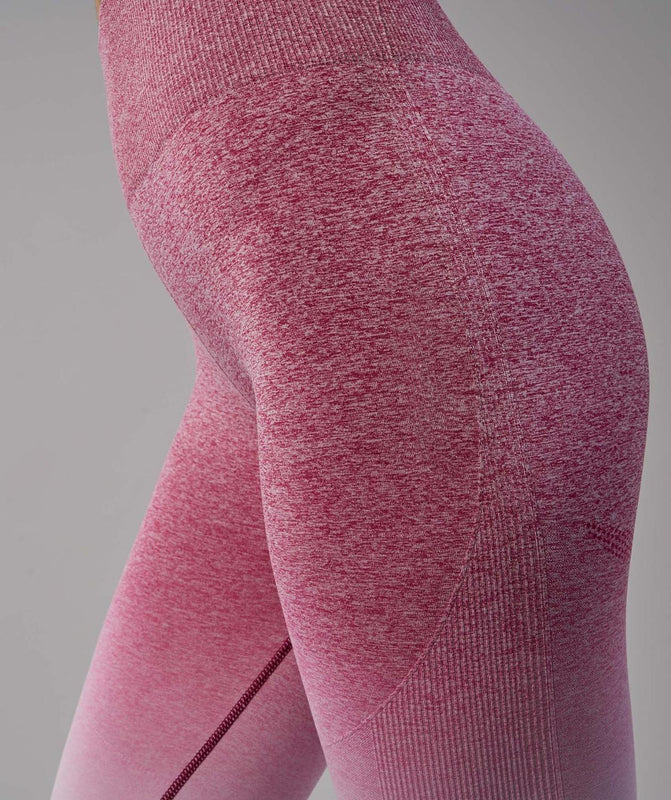 Entrenamiento Leggings Sporting Women Fitness Seamless Leggings High Waist Workout Leggings Sporting Activewear Legging Tummy Control Jegging Womens Clothing