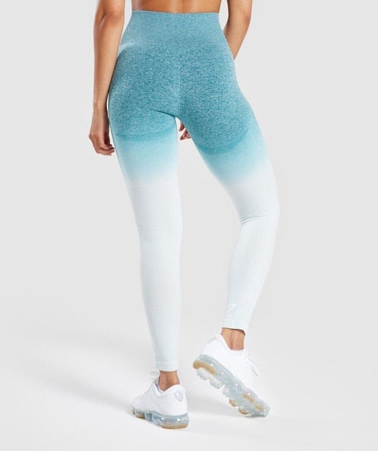 Entrenamiento Leggings Sporting Women Fitness Seamless Leggings High Waist Workout Leggings Sporting Activewear Legging Tummy Control Jegging Womens Clothing