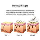 Beard Growth Kit Gift Box Men's Beard Growth With Comb Beard Roller Beard Oil